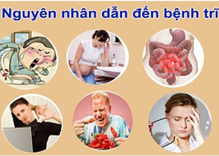 Có nhiều nguyên nhân khiến người bệnh bị trĩ chảy máu